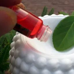 PEEPALCOMM 2-Pcs Transparent Sandalwood & Jasmine Aroma Oils - 60 ml image 3