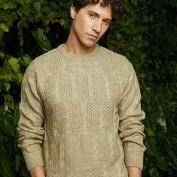 Campus Sutra Men Round Neck Pullover Sweaters-image-35