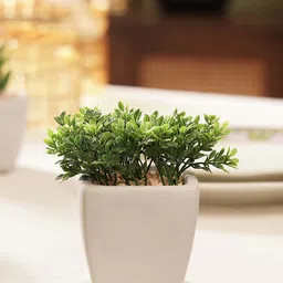 Pure Home and Living Green & White Artificial Plant With Cement Pot-22