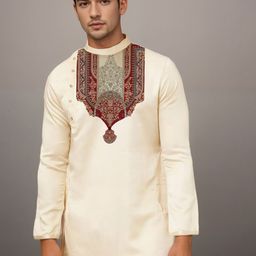 PulseIQ Men Ethnic Motifs Printed Kurta with Pyjama image 2