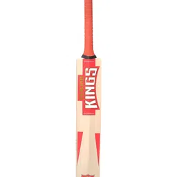 playR PBKS Tranformer English Willow Lightweight Cricket Bat-28