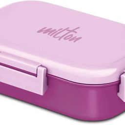 Senior Flatmate Inner Stainless Steel Tiffin Box, 700 ml 2 Containers Lunch Box-image-6