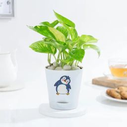 Lovely Money Plant In Self-Watering Penguin Planter-image-20