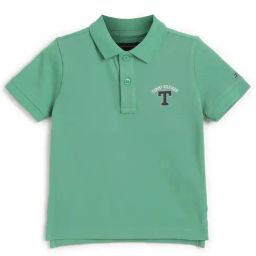 Tommy Hilfiger Coastal Green Logo Regular Fit Polo T-Shirt-picture-35