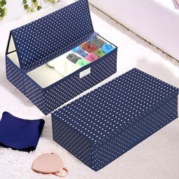 RUBOXA Blue Set of 2 Regular Multi-Utility Organisers-image-85