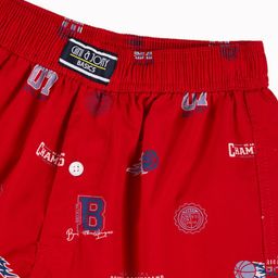 Gini and Jony Boys Conversational Printed Pure Cotton Regular Shorts image 2
