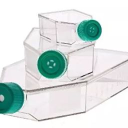 Tarson 950040 PS Size 25 cm Tissue Culture Flask with Filter Cap Sterile (Pack of 200)-image-92