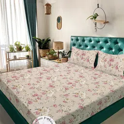 KLOTTHE Beige Floral 300 TC King Bedsheet with 2 Pillow Covers-picture-24