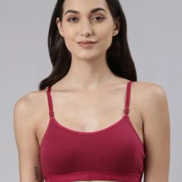 Dollar Missy Pink Cotton Seamless Bra-picture-18