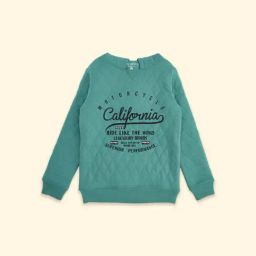 Pantaloons Junior Blue Cotton Printed Full Sleeves Sweatshirt-picture-30