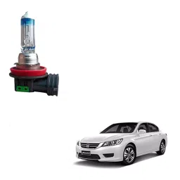 Auto Pearl H11 Car Fog Lamp Halogen Bulb for Honda Accord, APA03-16