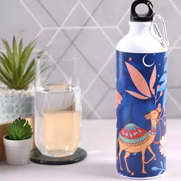 PENTADECO Blue & Pink Single Aluminium Printed Single Wall Vacuum Water Bottle-image-44