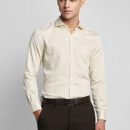 Peter England Beige Cotton Slim Fit Striped Shirt-picture-39