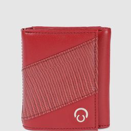 Caprese Women Animal Textured RFID Three Fold Wallet-11