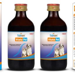 Vitaful Pet - Multivitamin Syrup For Dogs and Cats (100ml x 2) Combo - Pack of 2 Pet Health Supplements-7