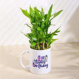 Bamboo Plant In Birthday Cheer Mug-97
