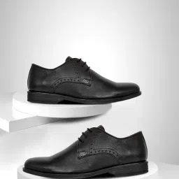 Allen cooper Men's Black Derby Shoes-image-23