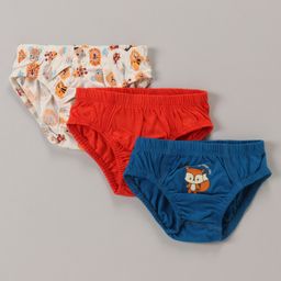 Babyoye 100% Cotton Knit With Antibacterial Finish Printed Briefs -  Multicolour-image-33