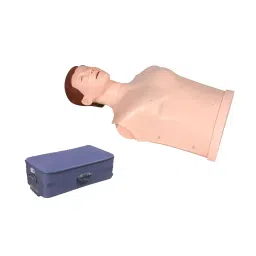 A-ONE SCIENCE PVC Half Body CPR Training Manikin With Sound Indicator AOSBM308-picture-37