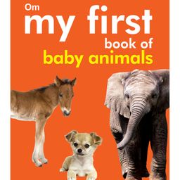 My First Book of Baby Animals Board Books - English-42