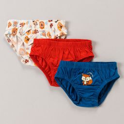 Babyoye 100% Cotton Knit With Antibacterial Finish Printed Briefs -Multicolour-image-82
