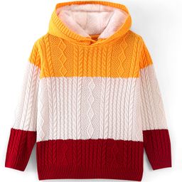 Pine Kids Full Sleeves Tricolor Hooded Sweater - Multocolor-picture-14