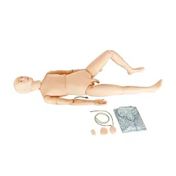 A-ONE SCIENCE PVC Multifunctional Nursing Manikin Male AOSBM285-16