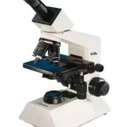 Labomed CXL Monocular Microscope, illumination - Halogen-40