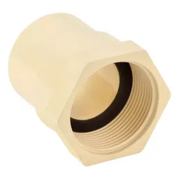 Astral 50.8mm(2 Inch) CPVC Plain Female Threaded Adapter, M512111606-6