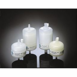 Whatman 150 mm PTFE Membrane Filter Capsule 2801-image-67