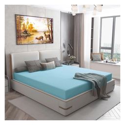 The Baby Booth Waterproof Mattress Protector King Size - Sky Blue-image-81