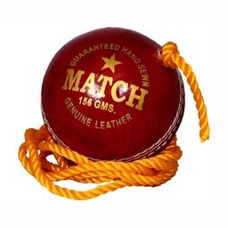 HackerX Printed Leather Cricket Hanging Ball-1
