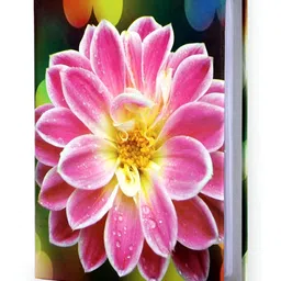 SEHAZ ARTWORKS Photo Album Book-24