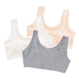 BRAAFEE Girls Pack Of 3 Pure Cotton Non Padded Training Bra-30