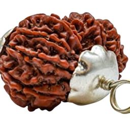 Gaurishankar Rudraksha Igl Certificate Natural Gorishankar Rudrshha 23mm Rare Combined Rudraksha गौरीशंकर रुद्राक्ष With Pendent for Jaap Mala Genuine Gauri Shankar Rudraksha Bead By Astro Cart image 1