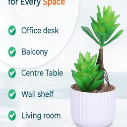 Kuber Industries Green & White Succulent Artificial Plant With Pot image 2