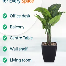 Kuber Industries Green & Black Artificial Plant With Pot image 4