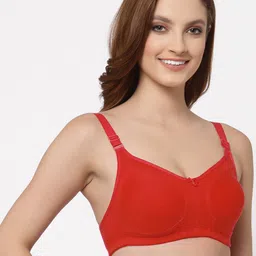 Floret Set Of 2 Lime Green & Red Non Padded & Non Wired Solid Bra image 3