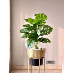 Mason Home Artificial Botanic Monstera Plant- 2 Feet-picture-0