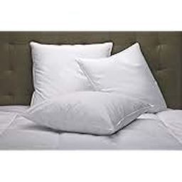 Cushion Filler (12X12) - Set of 3-image-59