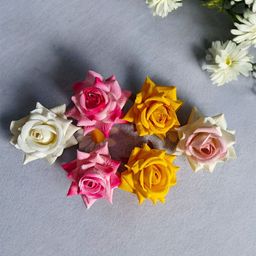 CHRONEX Women Set of 5 Claw Clip-20