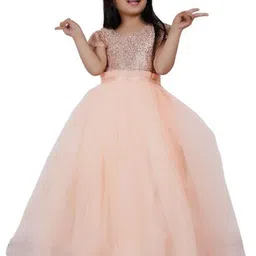 Wow Princess Cape Sleeve Net A-Line Maxi Dress-27