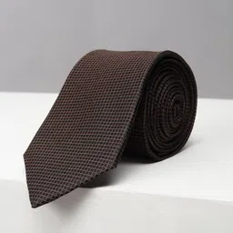 Peter England Men Checked Skinny Tie-picture-22