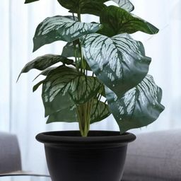 Go Hooked Green Pack of 2 Artificial Plant with Pot Decorative Indoor Outdoor-8