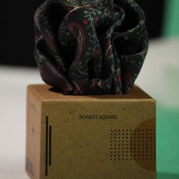 Tossido Printed Pocket Squares-image-124
