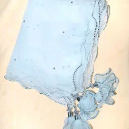 Net Embellished White Women Dupatta-image-8