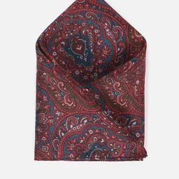 Van Heusen Printed Pocket Squares-15