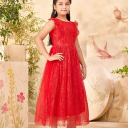 Aarika Self Design Net Maxi Dress image 3