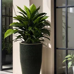 TRUSTBASKET Bloomnest Black Printed Planter-image-1