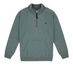 PLUM TREE Boys Solid Pure Cotton Sweatshirt-image-17